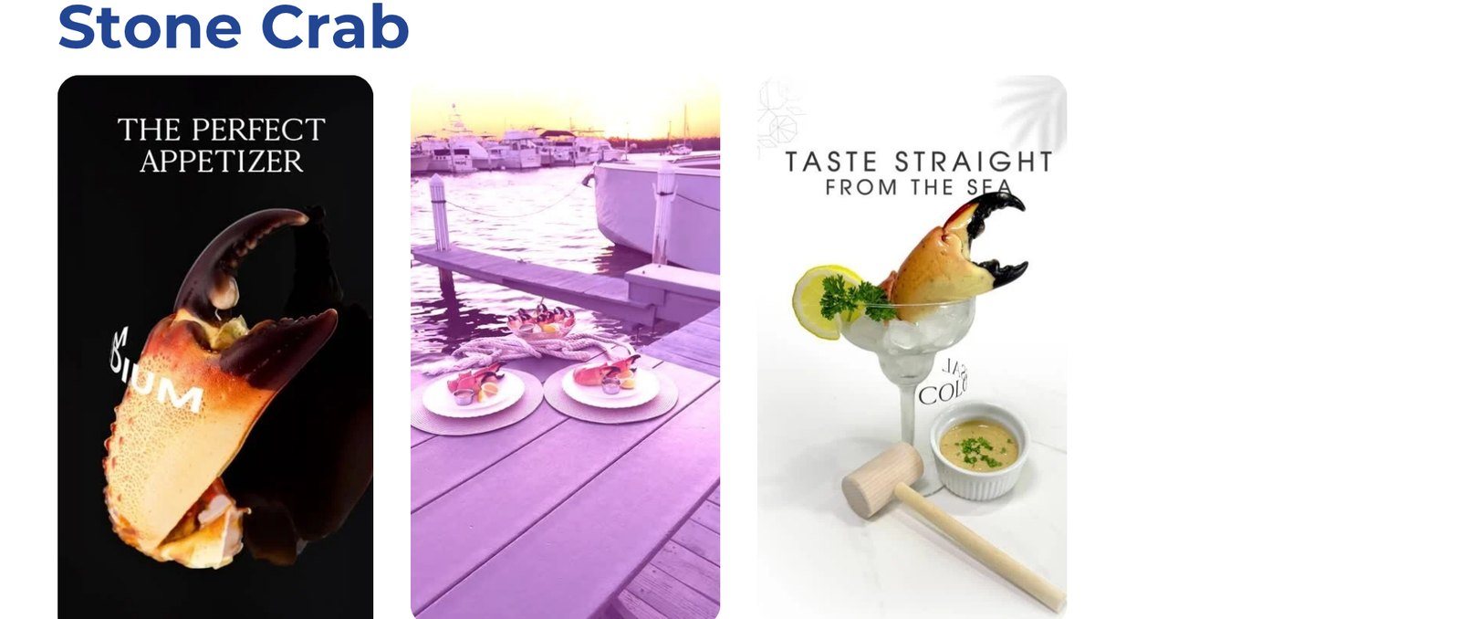 Stone Crab project